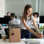 Persona in un ambiente d’ufficio che sistema una pianta sulla propria scrivania, con una scatola da trasloco appoggiata accanto contenente oggetti personali, a rappresentare un nuovo inserimento lavorativo o l’avvio di un rapporto di lavoro